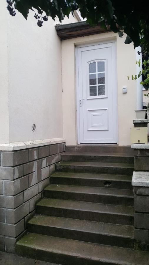 Grand Appartement Avec Terrasse & Jardin A 5 Minutes De Paris Cachan Exterior photo